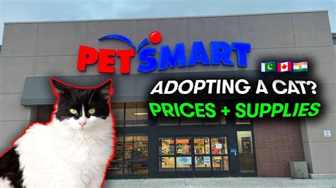 Does PetSmart Sell Cats: Exploring the Feline Frontier in Pet Retail