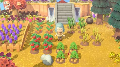 How to Get Carrots in Animal Crossing: A Deep Dive into the Mysteries of Vegetable Cultivation and Island Life