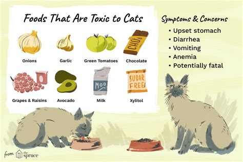 Is Fresh Pet Food Good for Dogs and Why Do Cats Always Seem to Judge Us?