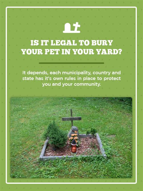 Is it illegal to bury a pet in your backyard, and can you grow a tree from its remains?