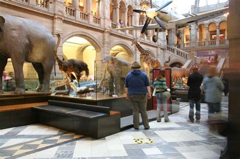 The Kelvingrove Art Gallery and Museum: History, Culture, and Dinosaurs Under One Roof!