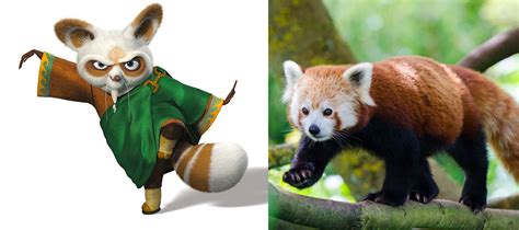 What is Shifu Animal: A Journey Through Myth and Reality